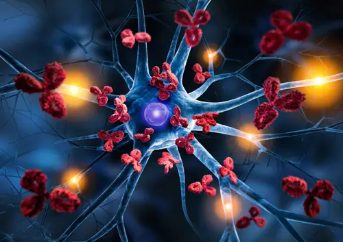 Microscopic 3D illustration of antibodies attacking a nerve cell to represent the biological impact of autoimmune disorders at Legacy Oral Surgery in New York and New Jersey.