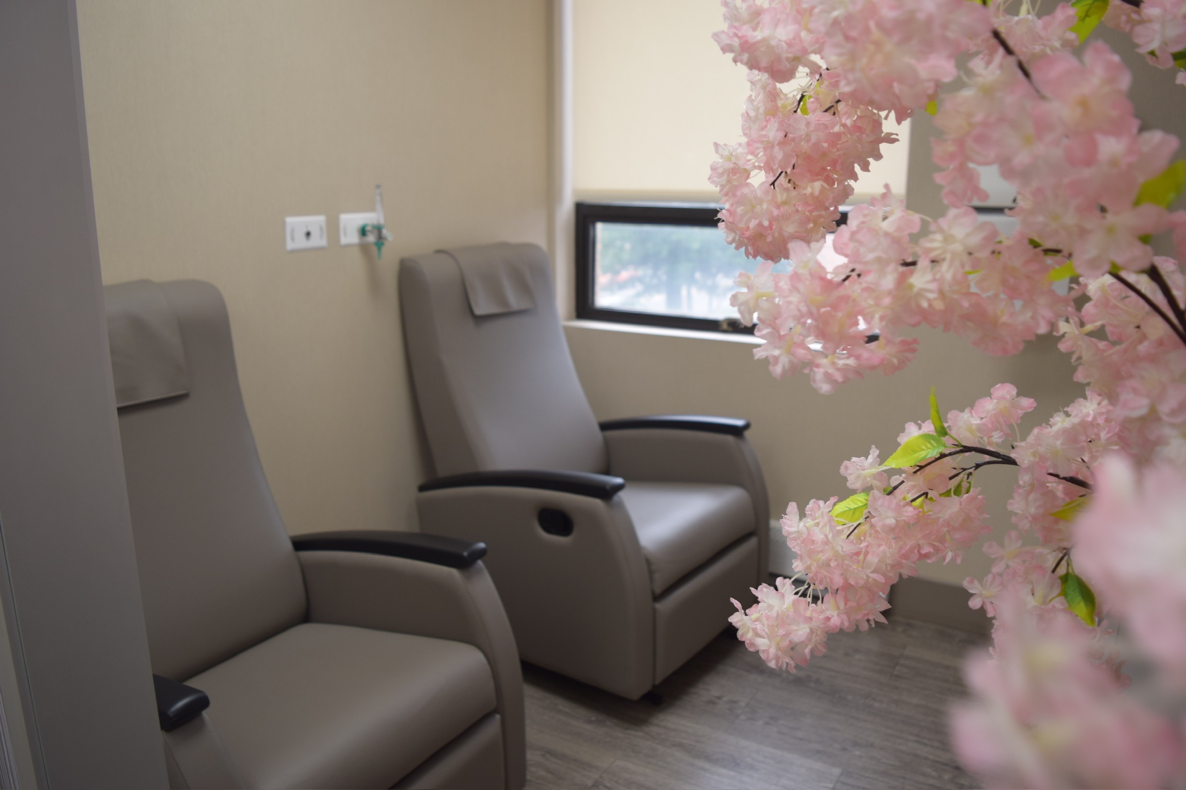 Dental waiting area with gray recliners and pink flowering plant decor